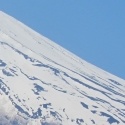 Right-click and 'Save image as...'