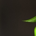 Right-click and 'Save image as...'